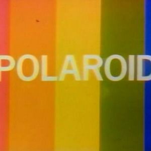 Meet your Posher, Ella